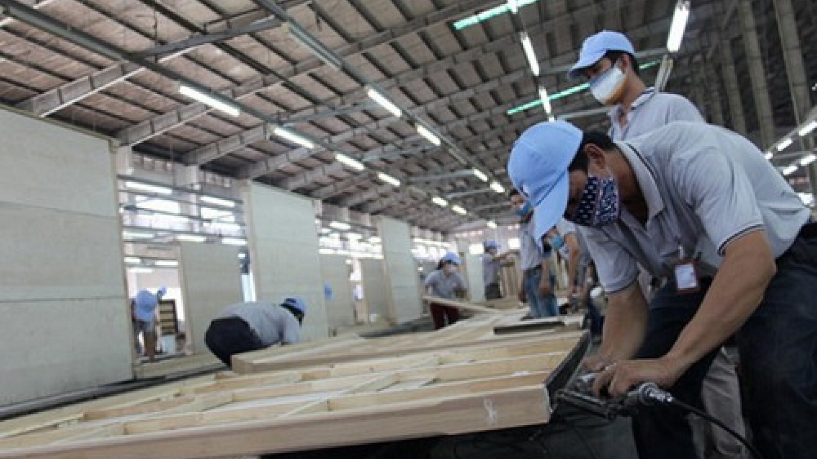 Vietnam’s timber industry faces Chinese threat