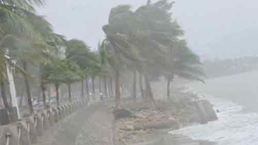Quang Ninh braces for tropical storm Dianmu