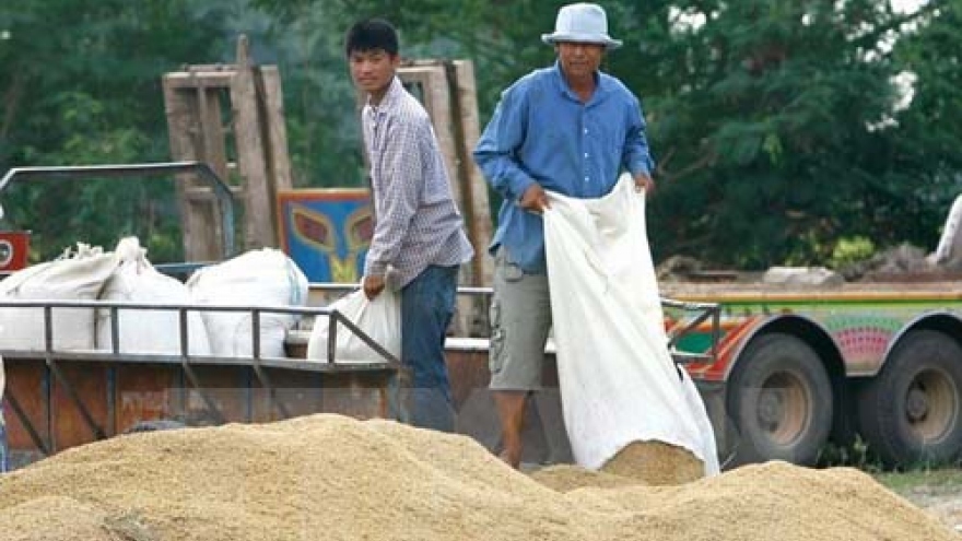 Thailand suspends rice auctions
