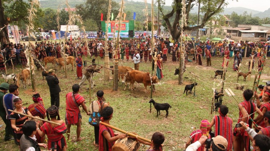 Arieu Ping, the reburial festival of the Pa Ko
