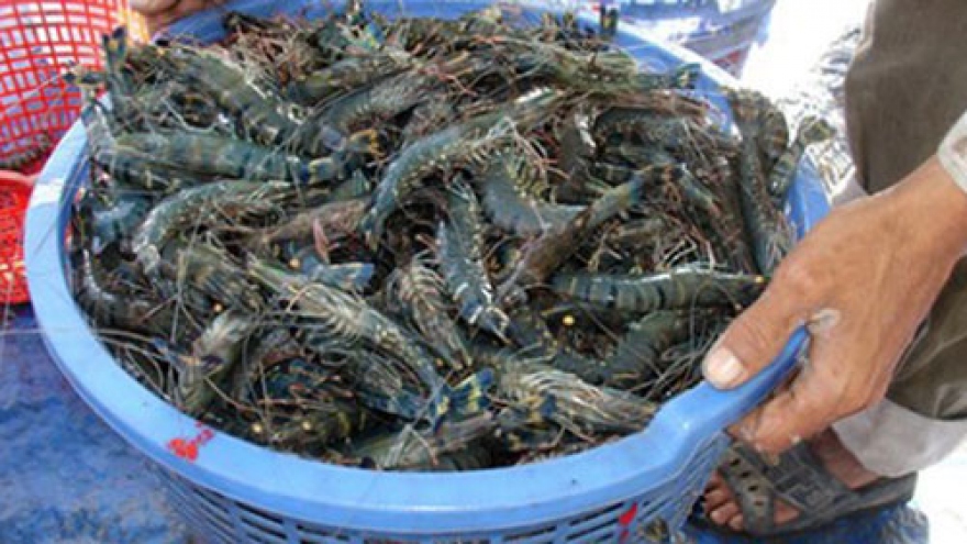 China lifts ban on import of prawns from Vietnam