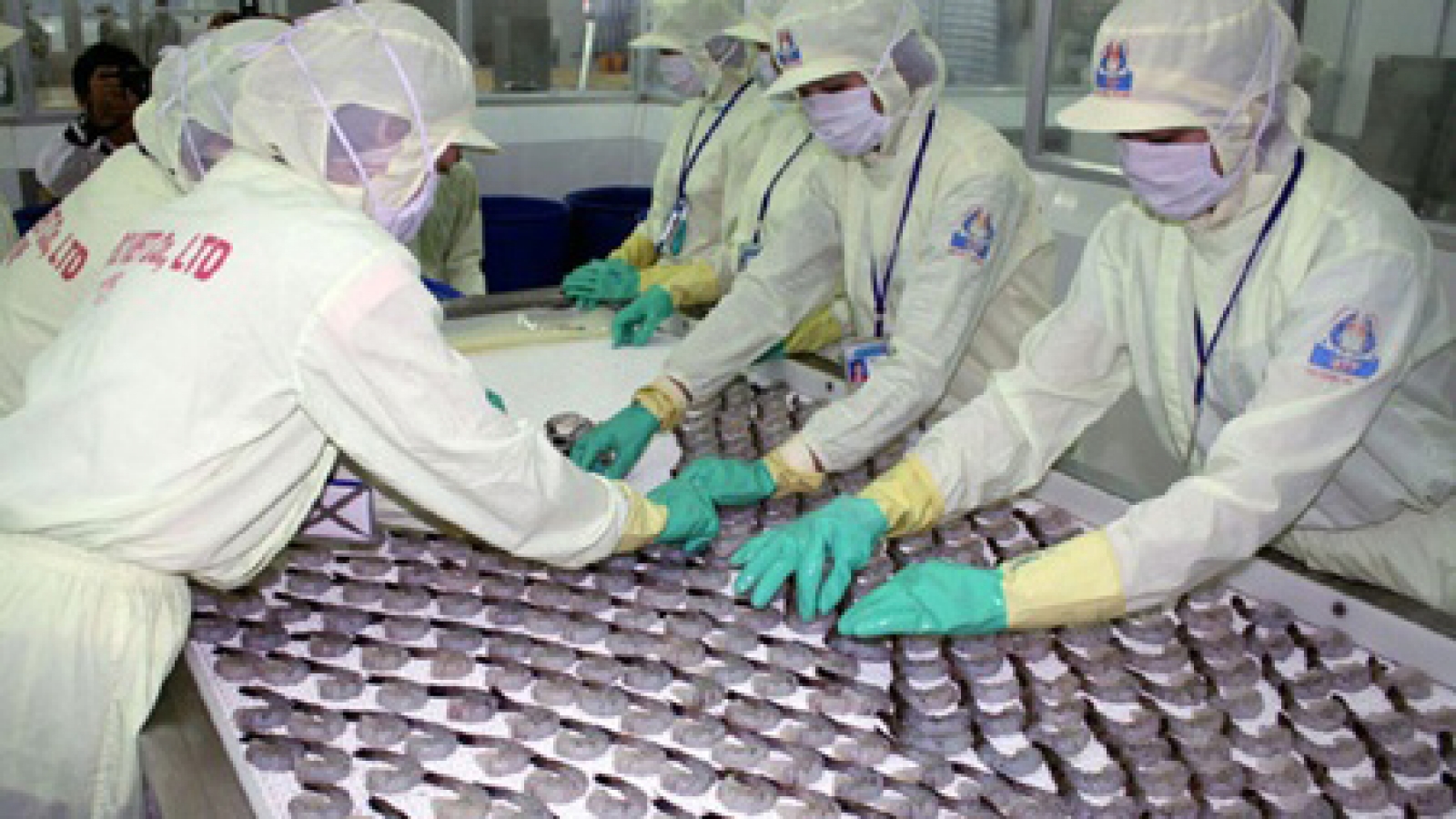 Vietnam looks to lift shrimp industry