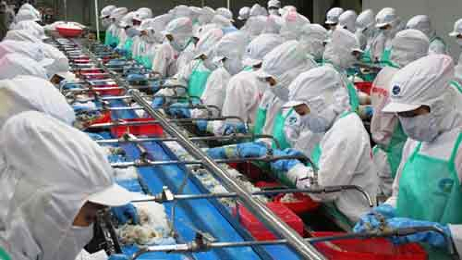 Lagging farm economy slows economic growth of Vietnam 