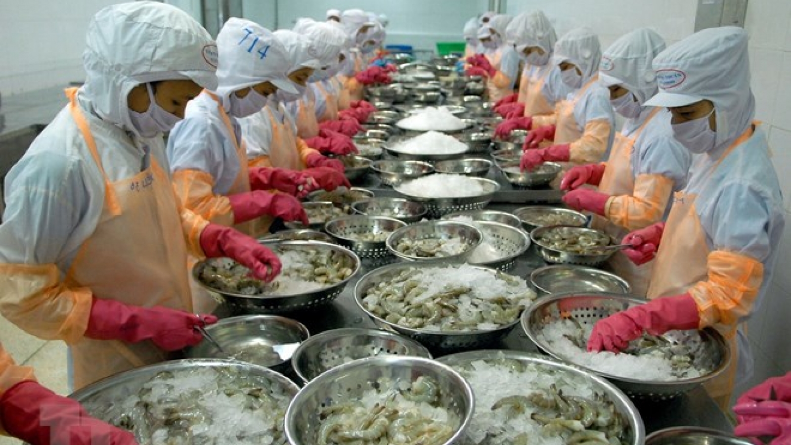 Shrimp exports see bright prospect this year