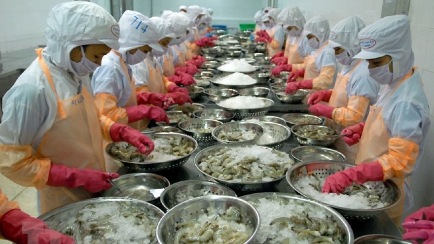 Shrimp exports see bright prospect this year