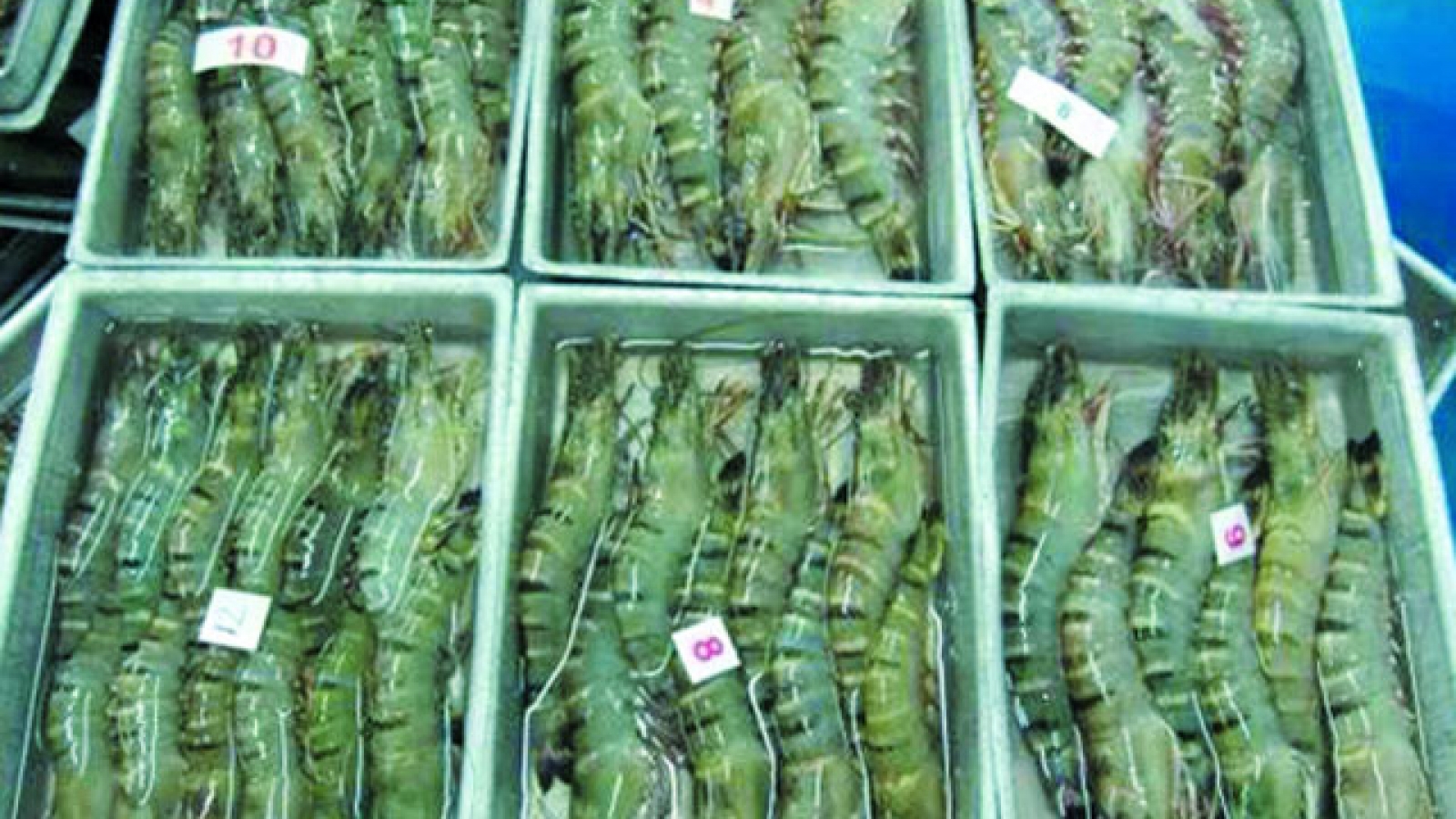 US imposes higher dumping margin on Vietnam shrimp
