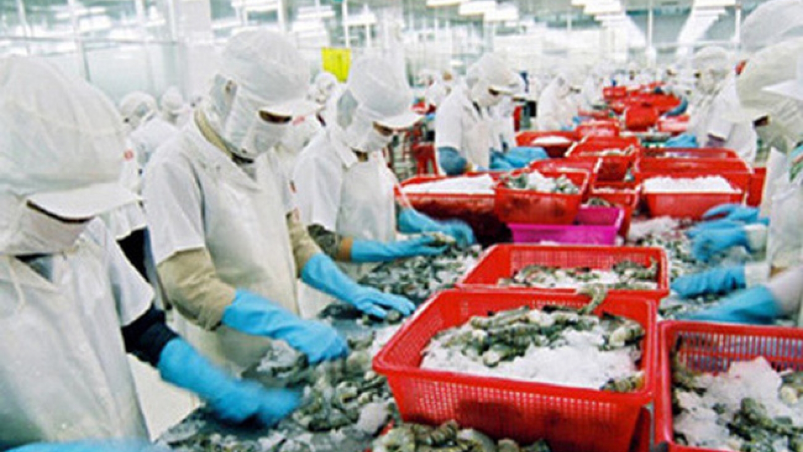 Exports to Algeria up 29% in 7 months