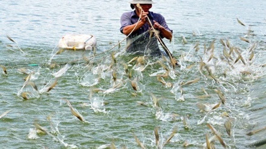 Australian businesses to research on Vietnam shrimp production chain 