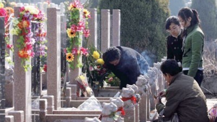Vietnamese preserve tomb-sweeping tradition