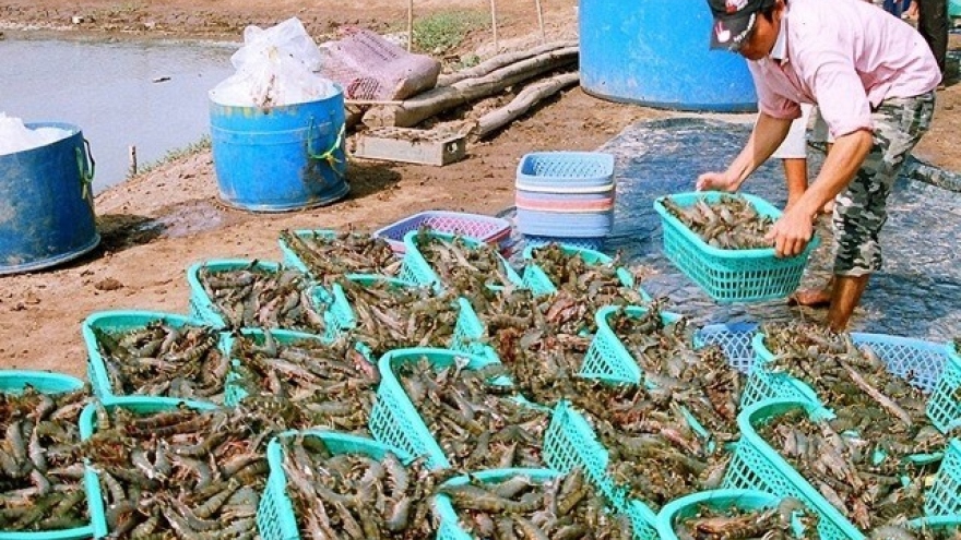 Shrimp, coffee, ginseng added to national products list