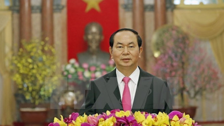 President Tran Dai Quang extends New Year greetings