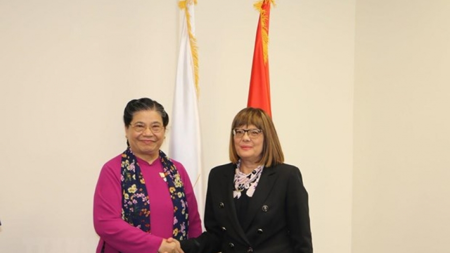 NA Vice Chairwoman meets top Serbian legislator