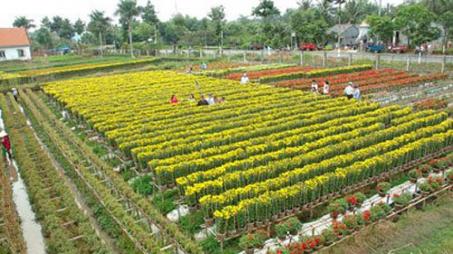 Saigontourist launches pre-Tet tours