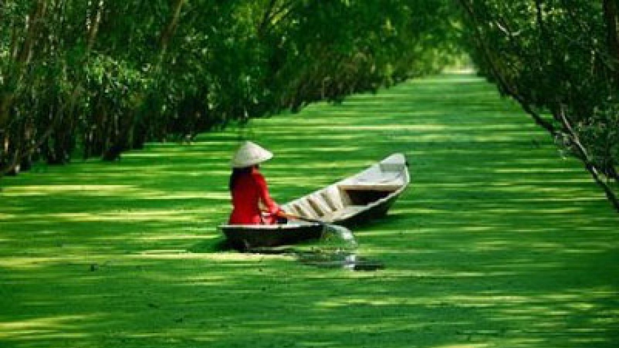 Cheap tours offered at promotional rates in Hanoi