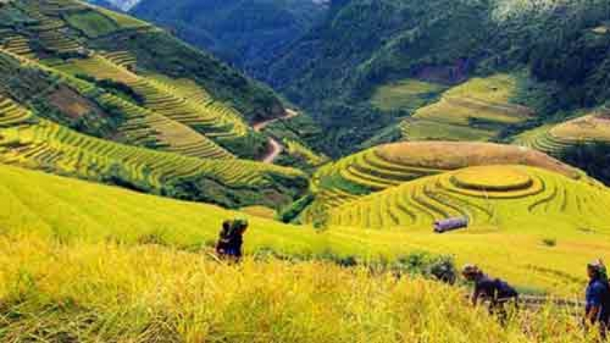 Opportunities for tourists during the best season of the year