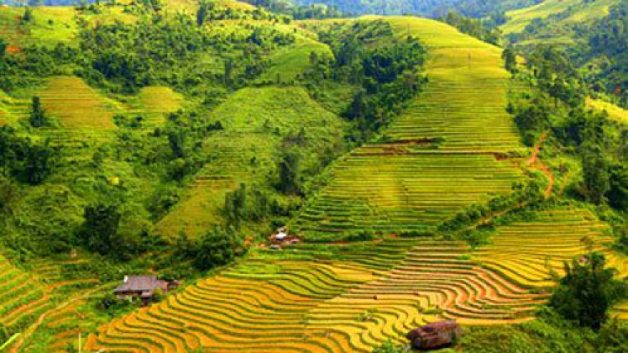 Fall tours of northeastern and northwestern Vietnam