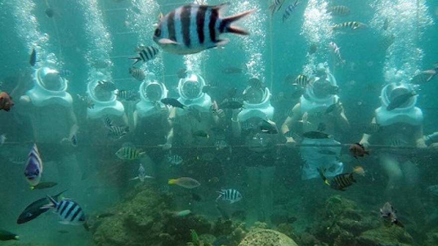 Cham Island to launch sea walking tour