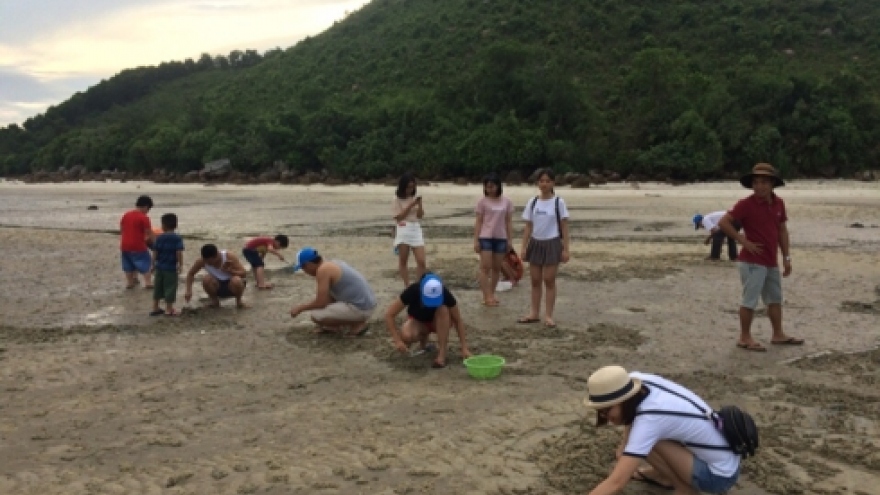 Quang Ninh launches eco-tours to Quan Lan island