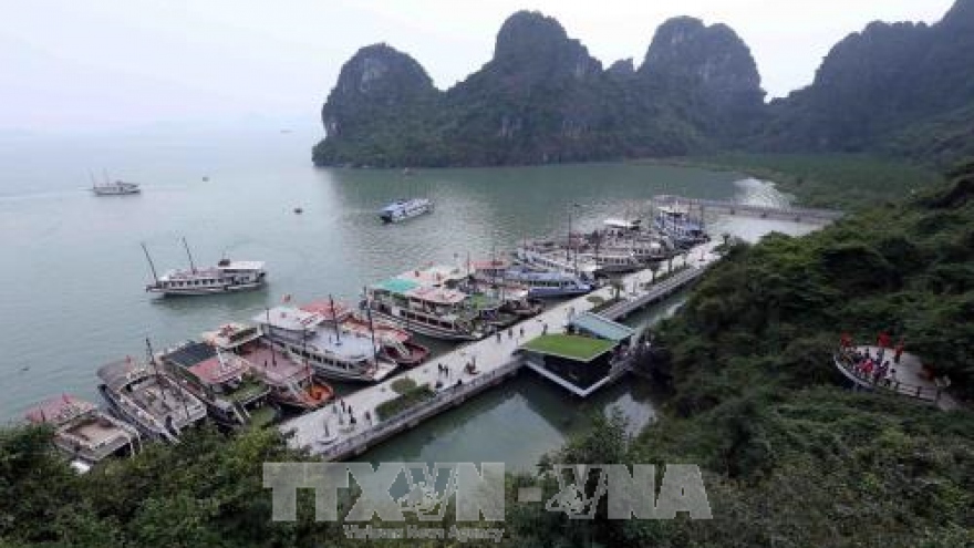 Programme promotes actions for green Ha Long