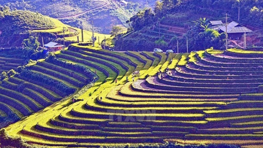 Eight Tay Bac localities enjoy fruitful tourism cooperation