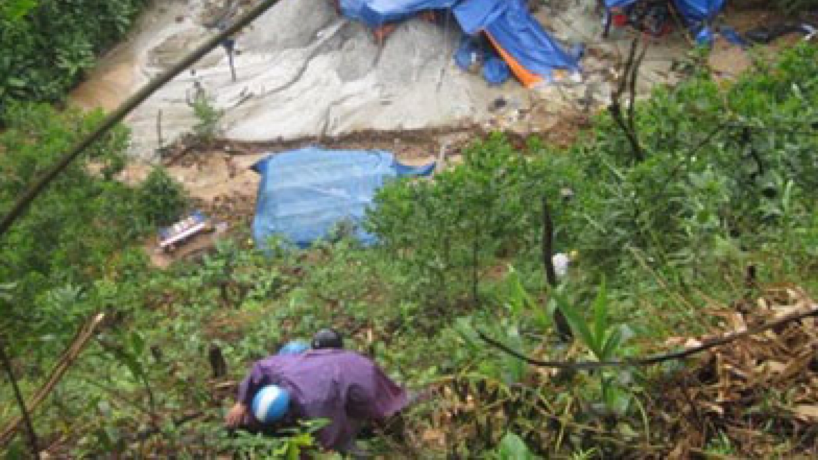 Toxic chemicals from gold mining destroys environment