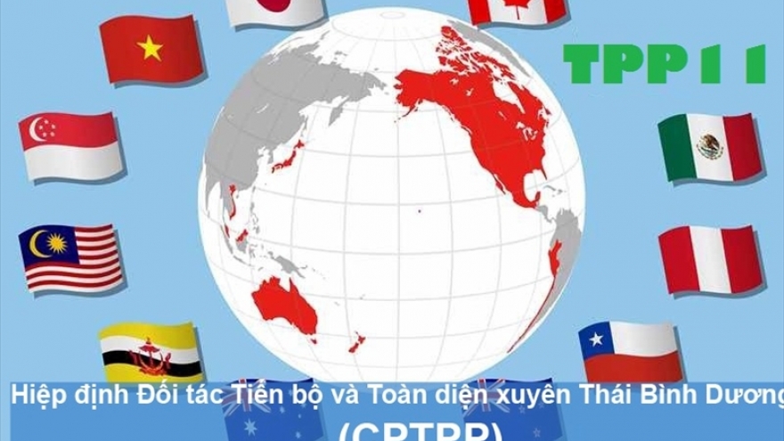 CPTPP creates high pressure for institutional reform in Vietnam