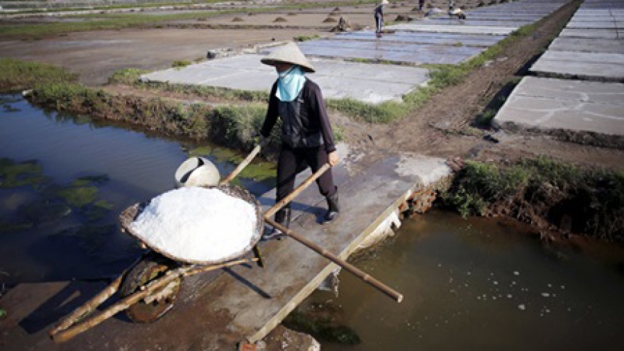 Salt industry will be restructured