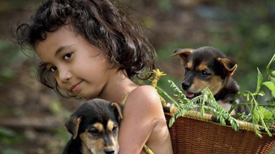 Vietnamese photographers snap up international awards 