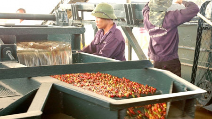 Diseases undermine Mekong fruit exports 
