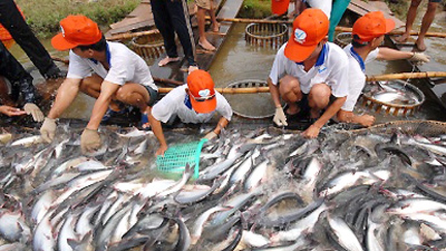 Regulations on Tra fish amended