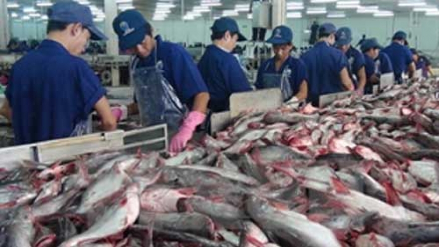 Tra fish output increases, exports down