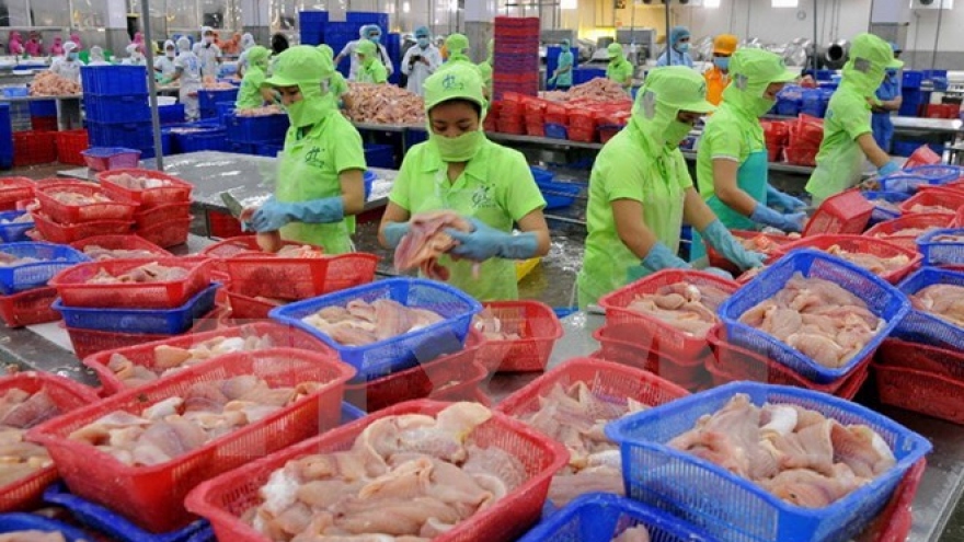 
        Tra fish export: China lucrative market but high risk
                              