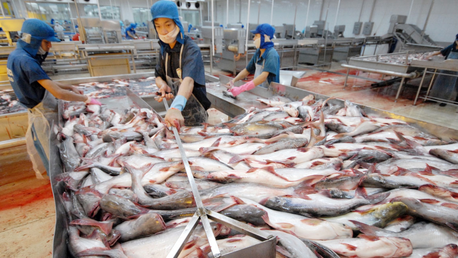 Vietnam, US step up agro-forestry-fisheries cooperation