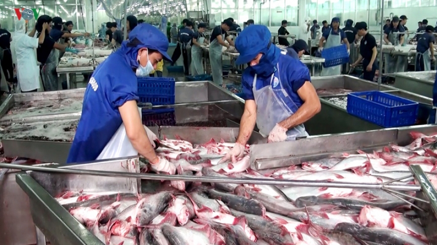 Falling tra fish price poses threat to aquatic export target