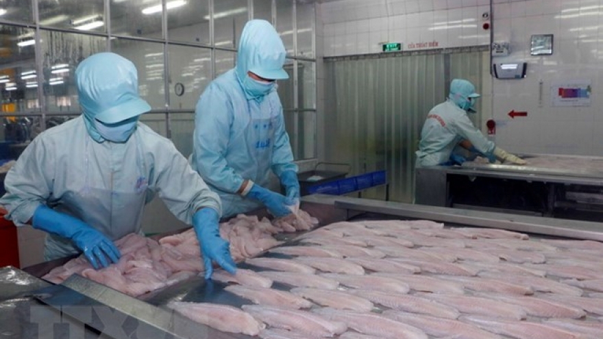 Ministry urges US to study Vietnamese tra fish market