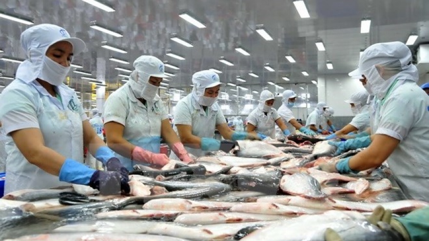 
        China becomes Vietnam’s second biggest tra fish market
                              