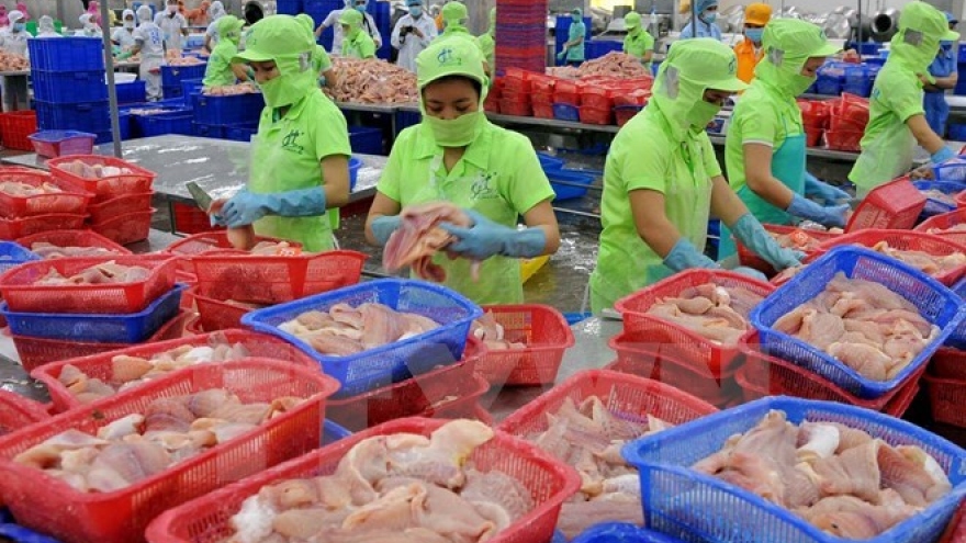 Tra fish sector sets sights on sustainable development