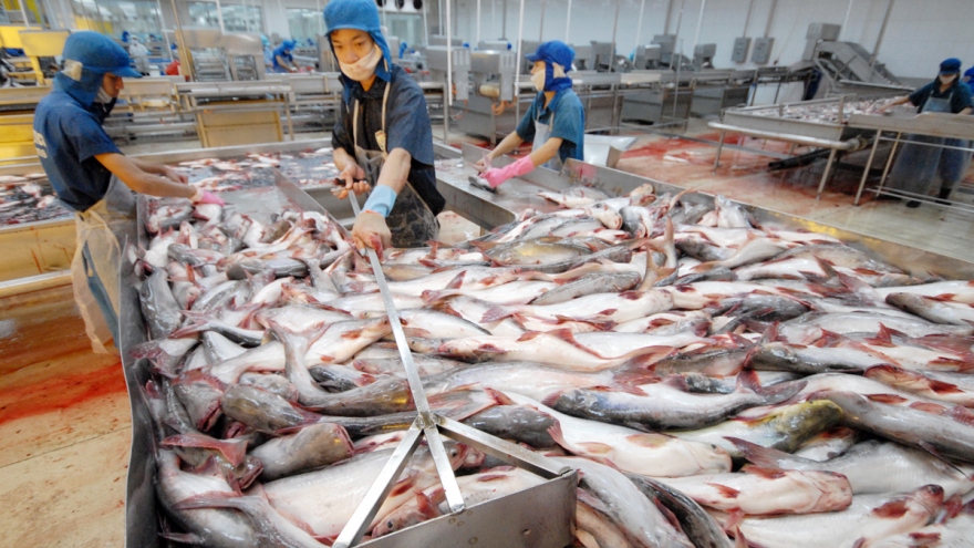 Catfish exporters trash nation’s image abroad