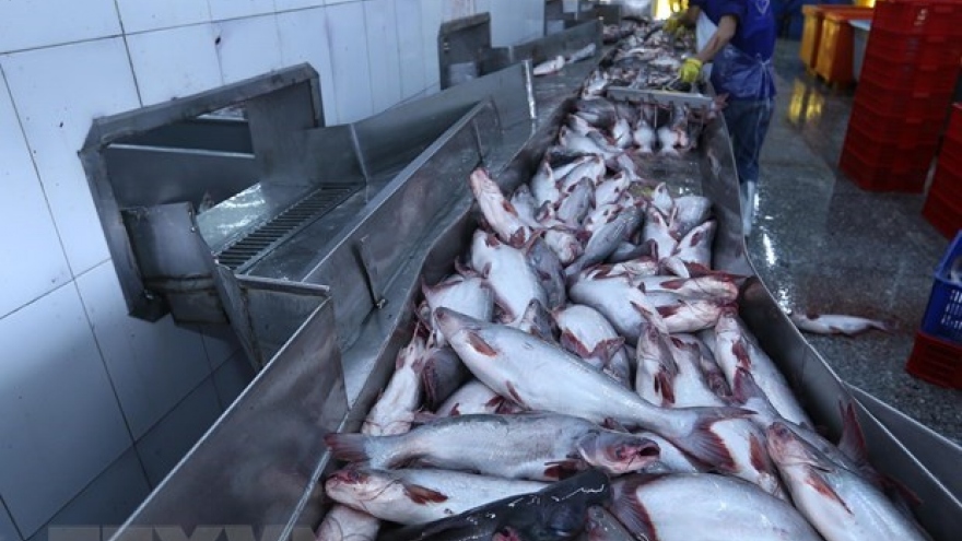 Tra fish shipments to US, China fall