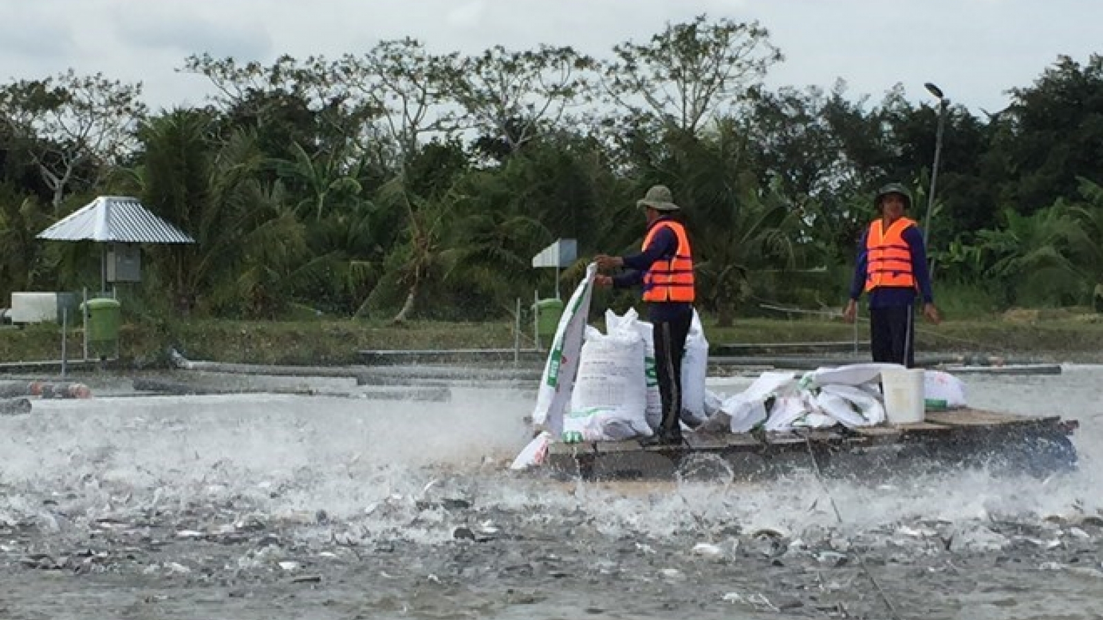 VASEP believes in US$7.4 billion of aquatic exports this year