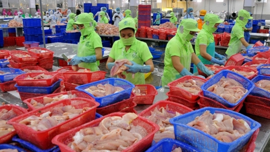 Tra fish prices bounce back after long slump