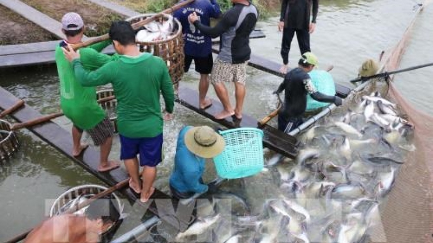 An Giang province works hard to lure more investments