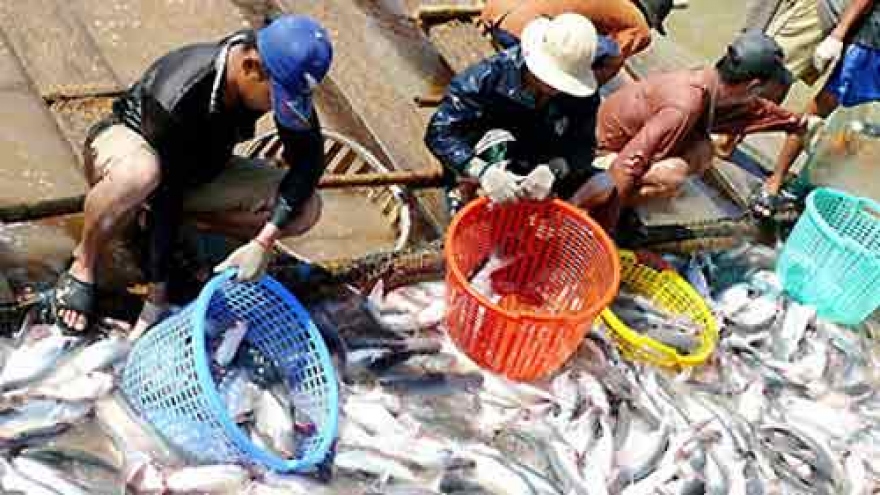 Drought hits Vietnam fish farms hard 