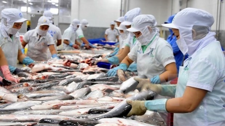 Tra fish export expected to bring home 600 million USD in Q1