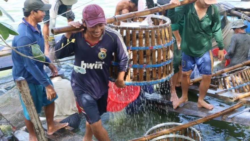Three-tier cooperation plan to boost tra fish quality approved