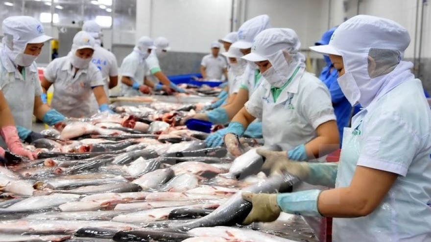 Tra fish prices on the rise