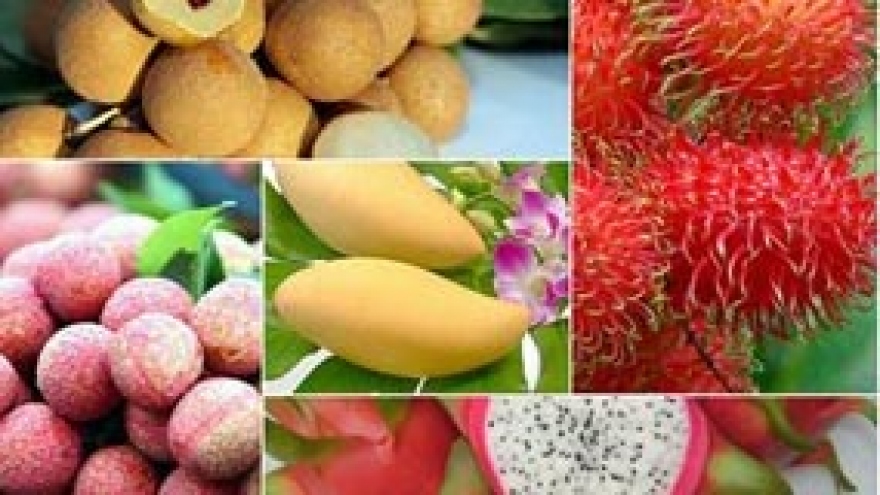 Vietnamese fruit reaches int’l markets