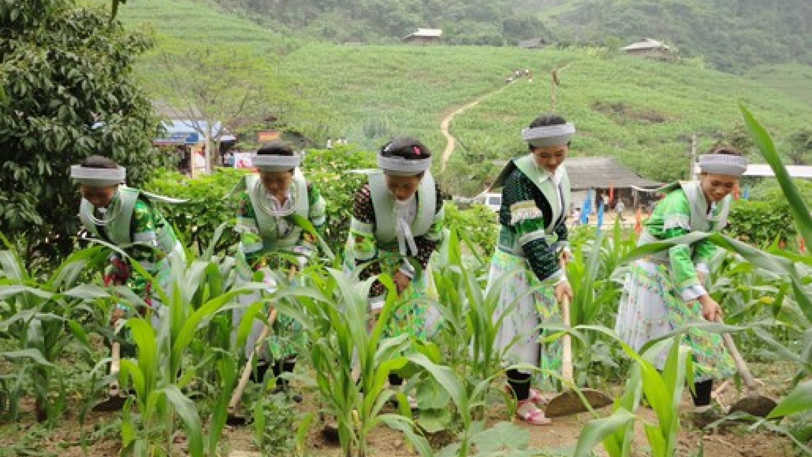 Thai Nguyen: Over VND5.1 trln for sustainable poverty reduction