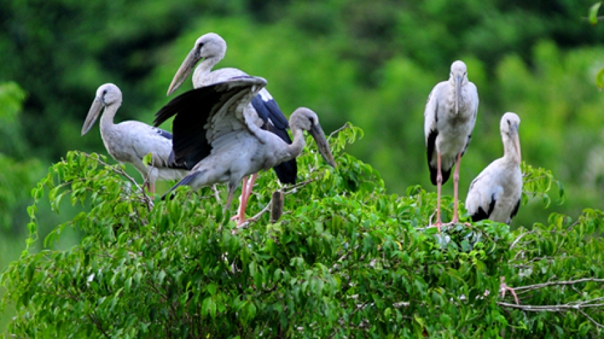 Thung Nham-a green oasis