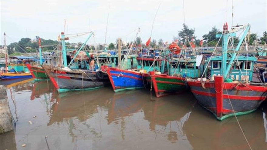 Ninh Thuan urged to prepare for typhoon Pabuk